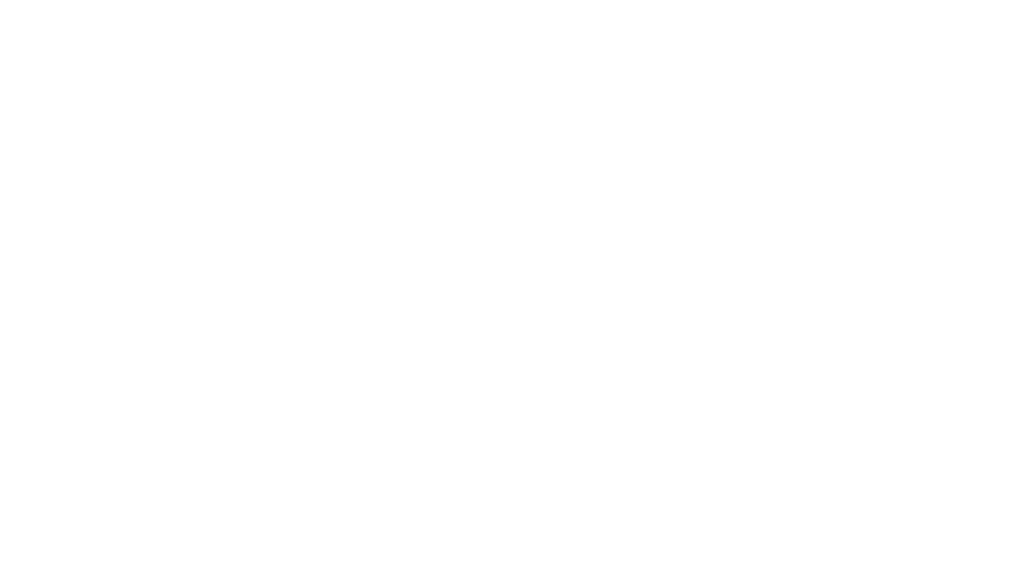 Primark-logo-white