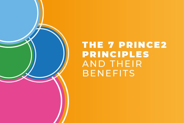 the-7-prince2-principles-min
