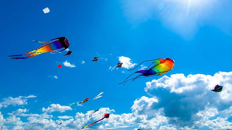 group of kites