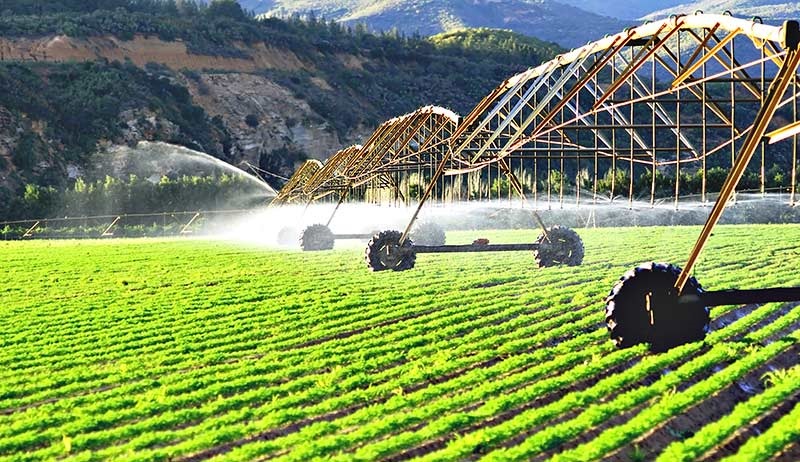 field being watered by machines