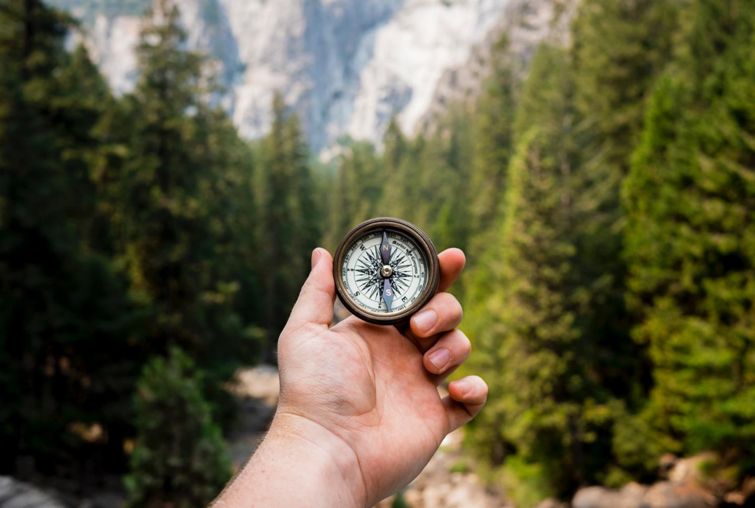 Purpose Values