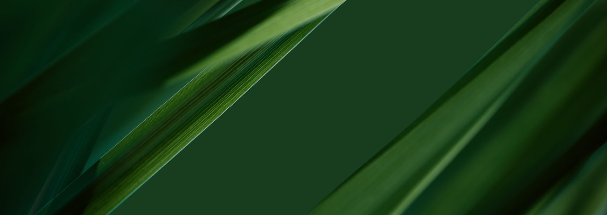 Orbus Software Sustainable Enterprise Transformation